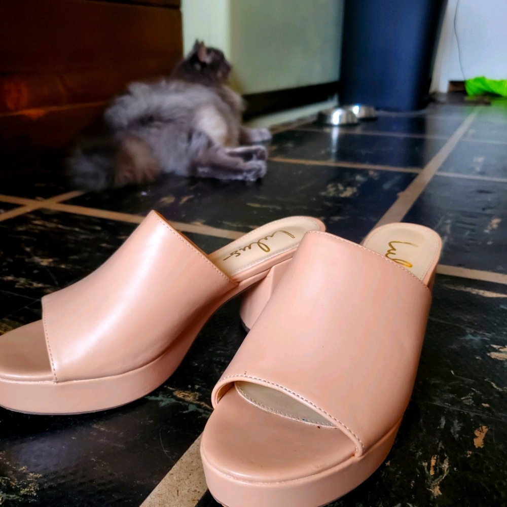 Lulu's Nude Platform Mules